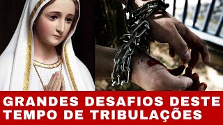 AS PROVAÇÕES MAIS DOLOROSAS – MENSAGEM DE NOSSA SENHORA – EM MILÃO  NA ITÁLIA [upl. by Cartwell]