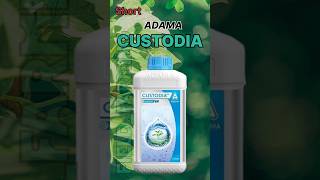 🌾Adama Custodia Fungicide  Azoxystrobin 11  Tebuconazole 183 ww SC [upl. by Eilzel]