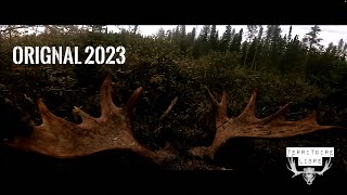 4k  Chasse à lOrignal 2023  TERRITOIRE LIBRE  Zone 28  LacStJean [upl. by Arihk]