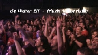 Die Walter Elf  Friggin in the Riggin live [upl. by Eical]