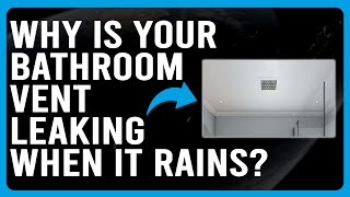 Why Is Your Bathroom Vent Leaking When It Rains How To Fix Bathroom Vent Leaking When Raining [upl. by Noxas]