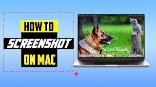 How To Screenshot On Mac Sonoma  The ultimate Guide 2024 [upl. by Yanaton]