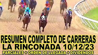 RESUMEN MAS COMPLETO DE CARRERAS HIPICAS 10dic LA RINCONADA 101223 [upl. by Eartnoed]