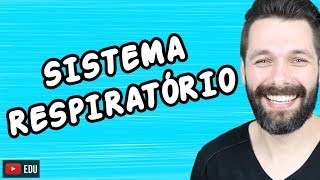 SISTEMA RESPIRATÓRIO  FISIOLOGIA  Biologia com Samuel Cunha [upl. by Meier]