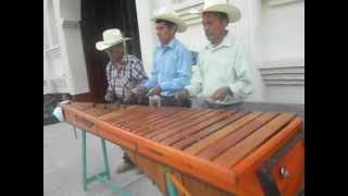 MARIMBA DE MI TIERRA Trapiche De Agua Salama BV [upl. by Gavriella245]