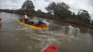 LUGENDA Expedition 2012 Hippo Attack in Kayaks [upl. by Bealle]