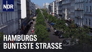 Boulevard der Gegensätze  Hamburgs Steindamm  die nordstory  NDR Doku [upl. by Jasisa]