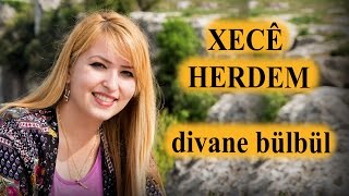 Xecê Herdem Divane Bülbül Akustik [upl. by Yeldar874]