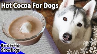 How To Make Hot Chocolate for Dogs  DIY Easy Dog Treats Recipe 91 [upl. by Cestar]