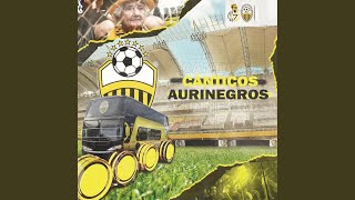 Aurinegro mi buen amigo [upl. by Lemaj]