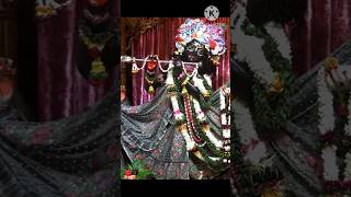 Krishna nam  du hat tule bol re krishna nam song travelxp krishna krishnabhajan krishnabhajan [upl. by Yerfdog544]