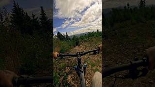 Killington Tech killington mtb [upl. by Akirdnuhs104]