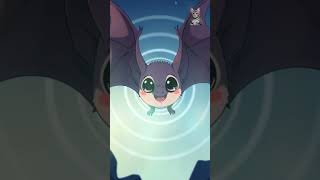 How Do Bats Navigate in the Dark viralvideos astronomicalevent [upl. by Mccreery]