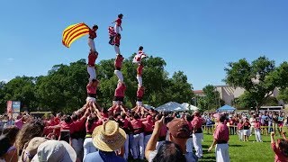 2018 Smithsonian Folklife Festival  Catalonia Teams Build quotHuman Tower quot [upl. by Laughton]