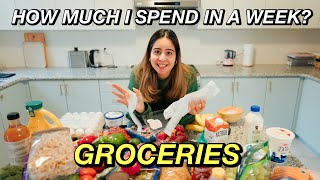 What I Spend For My GROCERIES Living In Canada 🇨🇦  Family of Two [upl. by Ennagrom]