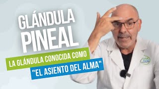 La GLÁNDULA PINEAL Cuál es su Función y Cómo Mantenerla Sana [upl. by Nbi884]