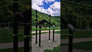 En chargement motivation streetworkout calisthenics viralvideo [upl. by Abisha]