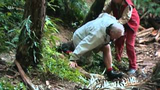 Ferne Spencer and Vicky Face Terrifying Bushtucker Trial  Im A Celebrity Get Me Out Of Here [upl. by Norod]