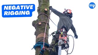 How to rig sections of trunk onto itself  Arborist Rigging techniques [upl. by Ahseinar]