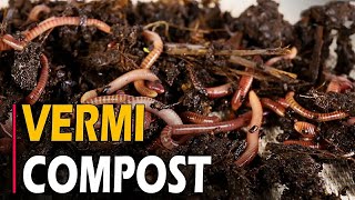 Very easy and fast Make dry leaf compost in 30 Days [upl. by Nunes441]