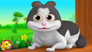 Meow Meow Billi Karti म्याऊं म्याऊं बिल्ली करती Bandar Mama Kids Nursery Rhymes In Hindi [upl. by Atsirhcal424]