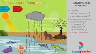 Components of Ecosystem  Our Environment  Class 10 Biology Chapter 15 [upl. by Pernell]