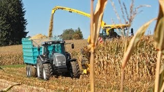 Maisernte mit VALTRA Traktoren  AMPLandtechnik [upl. by Eceinhoj]