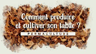 Comment produire et cultiver du tabac à la maison [upl. by Lorac]