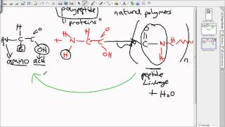 level 3 polymers [upl. by Inaleon950]