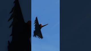 EUROFIGHTER VS SU27 FLANKER  DCS World shorts dcsworld dcs eurofightertyphoon flanker [upl. by Gresham]