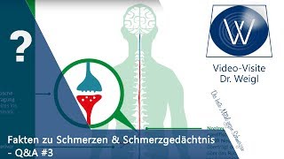 Chronischer Schmerz das Schmerzgedächtnis psychosomatische Schmerzen amp Schmerztherapie ☎QampA 3👥 [upl. by Allesig]