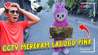 DIKIRA BOHONGAN CCTV MEREKAM JELAS LABUBU PINK MEMBAWA PAKET MISTERIUS KE RUMAH KITA [upl. by Filippa]