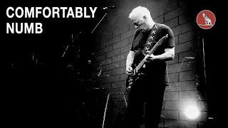 COMFORTABLY NUMB BACKING TRACK LAST SOLO [upl. by Kcirdehs744]