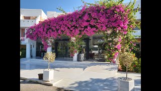 Hotel Anissa Beach amp Village Kreta Crete [upl. by Edee]