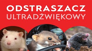 Odstraszacz na kuny myszy i krety  Ultradźwięki [upl. by Bucher]