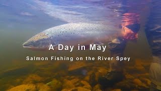 A Day in May  Spring Salmon on the River Spey at Tulchan [upl. by Tterej737]