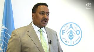 Remarks by Workneh Gebeyehu Minister for Foreign Affairs of Ethiopia [upl. by Yllom]