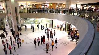 Irish Flash Mob Vienna 2014  Wien Mitte The Mall [upl. by Refinne]