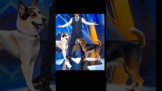 Americas Got Talent Dogs Magic😱😨  Duo SchumacherAGTamericagottalentmagic [upl. by Sarina65]