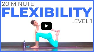 20 minute Yoga for Flexibility Level 1 Full Body Yoga Stretch [upl. by Yedrahs560]