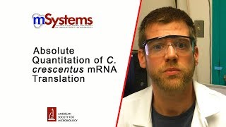 Absolute Quantitation of C crescentus mRNA Translation [upl. by Shewchuk]