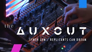 BEHRINGER CRAVE  synth jam  replicants can dream [upl. by Sucramd]