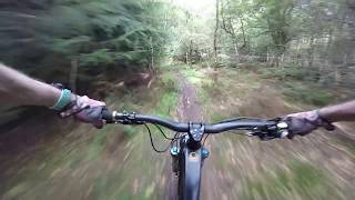 Dalby Forest Offpiste mtb trails [upl. by Adara493]