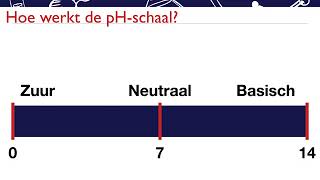SK 401  de pH schaal [upl. by Sukram]