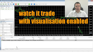 MQL5 Tutorial 7 Running your first Backtest [upl. by Pam]