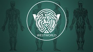 The Maze Theme  Westworld S1 [upl. by Ynnhoj]