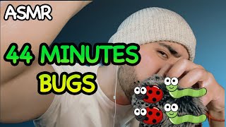 ASMR Bugs Searching amp Plucking [upl. by Amitarp]