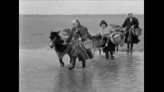 Cockle Gatherers At Penclawdd  1961 [upl. by Hannahs]