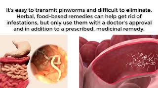 get rid of pinworms  How to Treat Pinworms  Ways To Treat Human Pinworms [upl. by Abehsile]