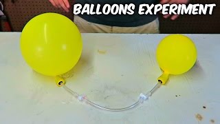 Awesome Science Experiment with Balloon [upl. by Ecitnerp]